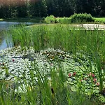Ferienzimmer Teiselsmuehle Gehren Bed & Breakfast Heideblick