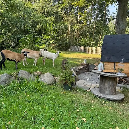 Bed & Breakfast Teiselsmuehle Ferienzimmer Heideblick