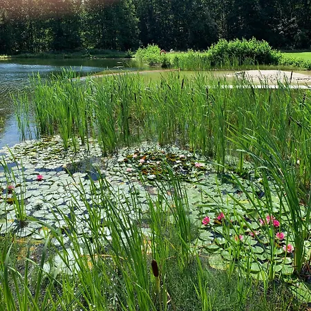 Nocleg ze śniadaniem Ferienzimmer Teiselsmuehle Gehren