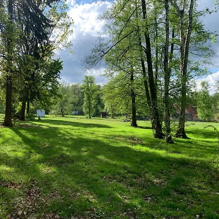 Bed & Breakfast Ferienzimmer Teiselsmuehle Gehren Heideblick