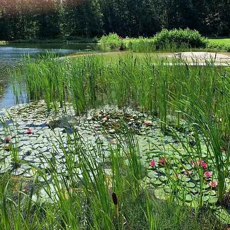 Ferienzimmer Teiselsmuehle Gehren Bed & Breakfast Heideblick