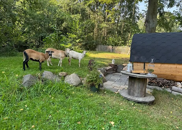 Bed & Breakfast Ferienzimmer Teiselsmuehle Gehren Heideblick