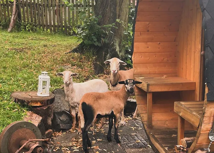 Ferienzimmer Teiselsmuehle Gehren