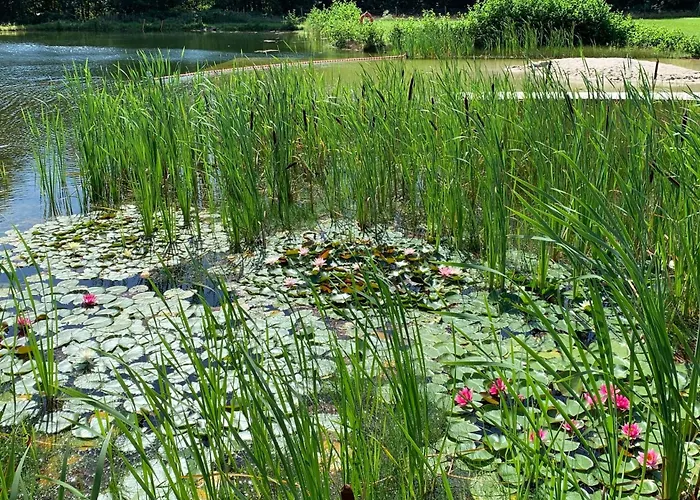 Ferienzimmer Teiselsmuehle Gehren Bed & Breakfast Heideblick