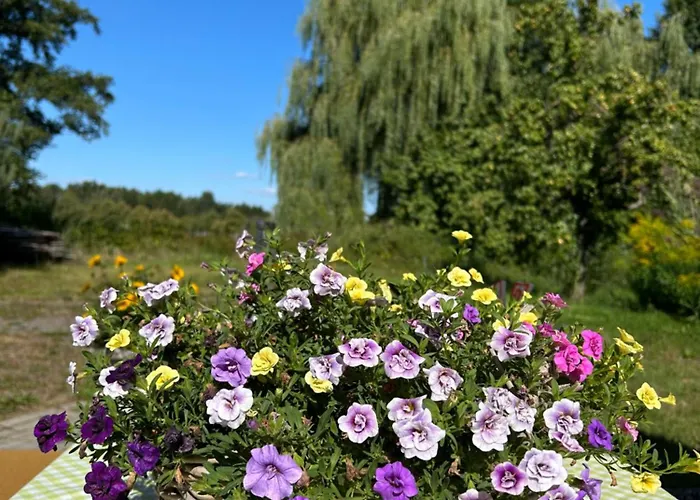 Ferienzimmer Teiselsmuehle Gehren Bed & Breakfast 3*